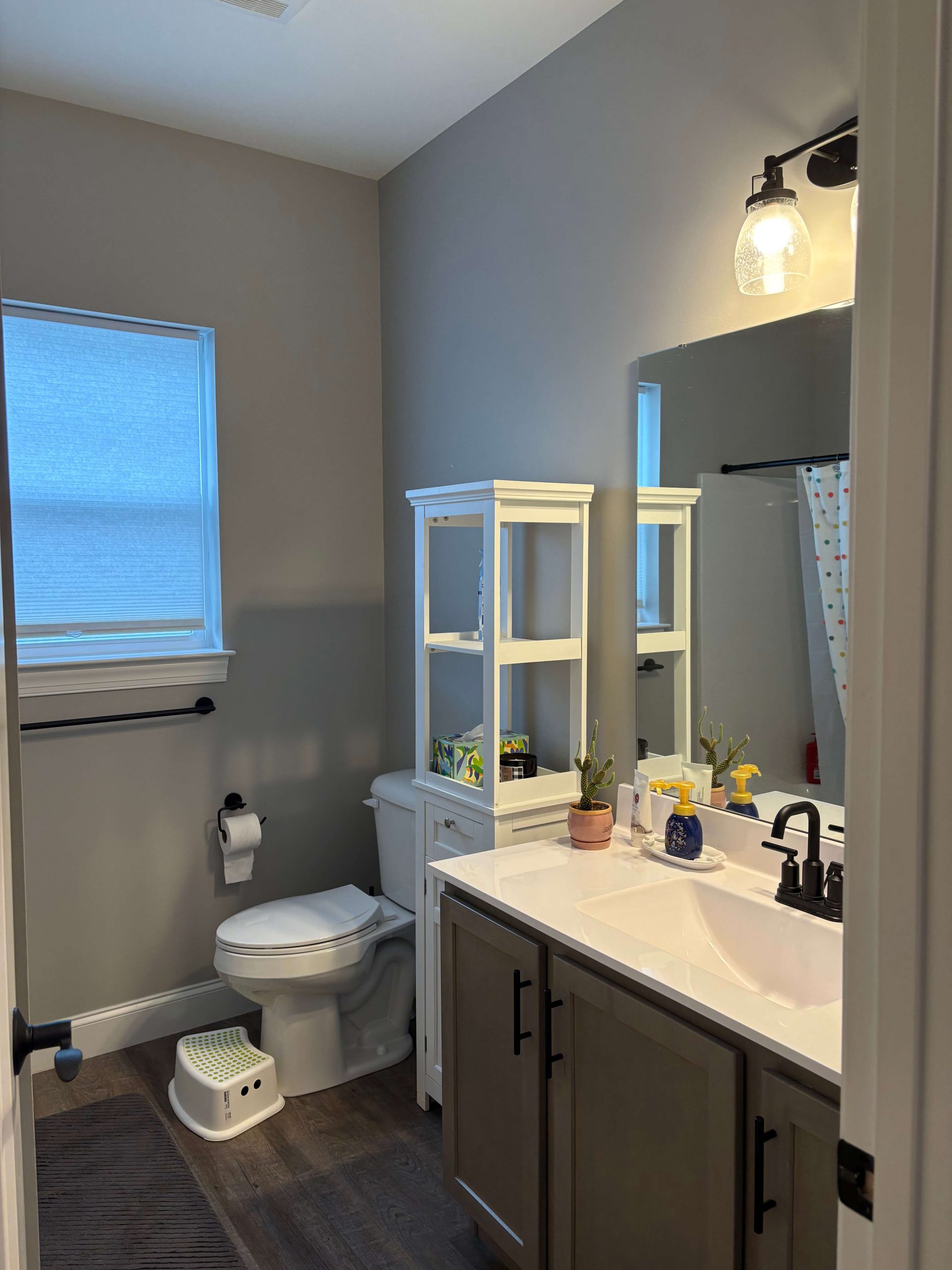 Martzall's Custom Surfaces expert bathroom interior painting featuring a modern vanity, matte black hardware, and crisp white trim against smooth taupe walls.